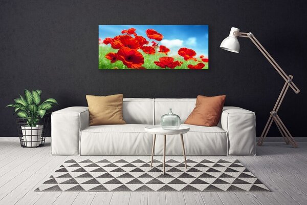 Obraz canvas na ścianę Maki w Porannej Rosie