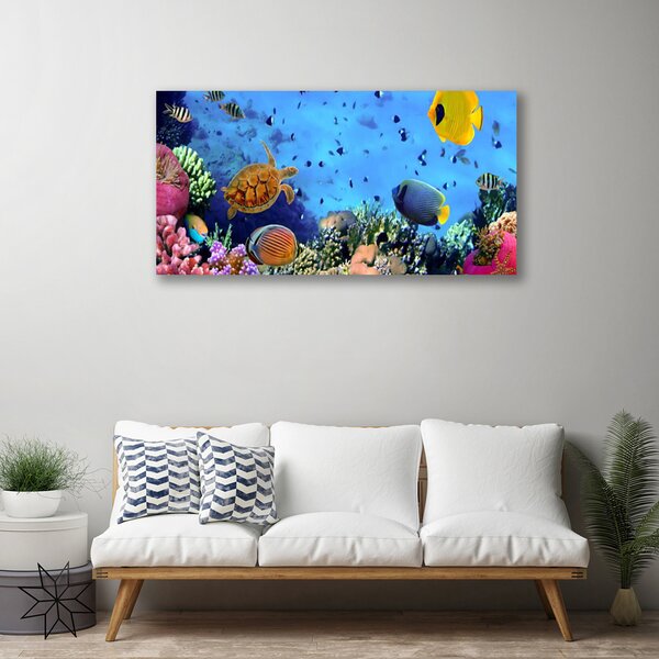 Obraz canvas Podwodny Świat Rafy Koralowej
