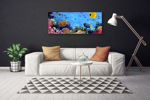 Obraz canvas Podwodny Świat Rafy Koralowej