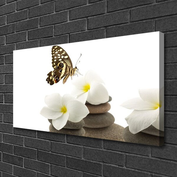 Zdjęcie na płótnie Motyl na Kamiennej Orchidei