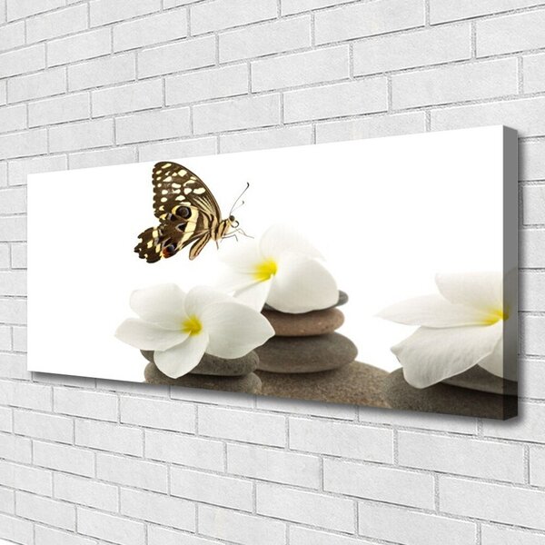 Zdjęcie na płótnie Motyl na Kamiennej Orchidei
