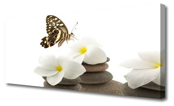 Zdjęcie na płótnie Motyl na Kamiennej Orchidei