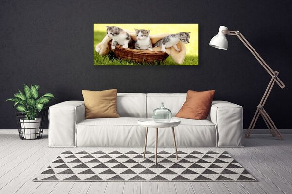 Obraz canvas Urokliwe Koty w Obiektywie