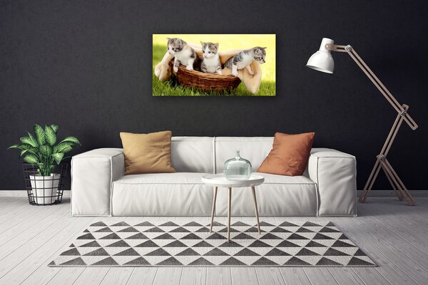 Obraz canvas Urokliwe Koty w Obiektywie