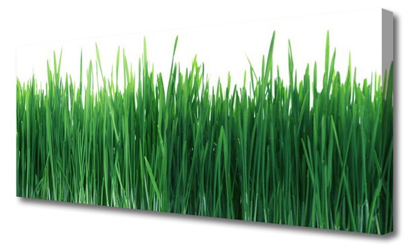 Obraz canvas Naturalna Świeżość Trawy