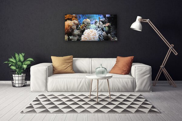 Obraz canvas Bogactwo Oceanicznej Rafy