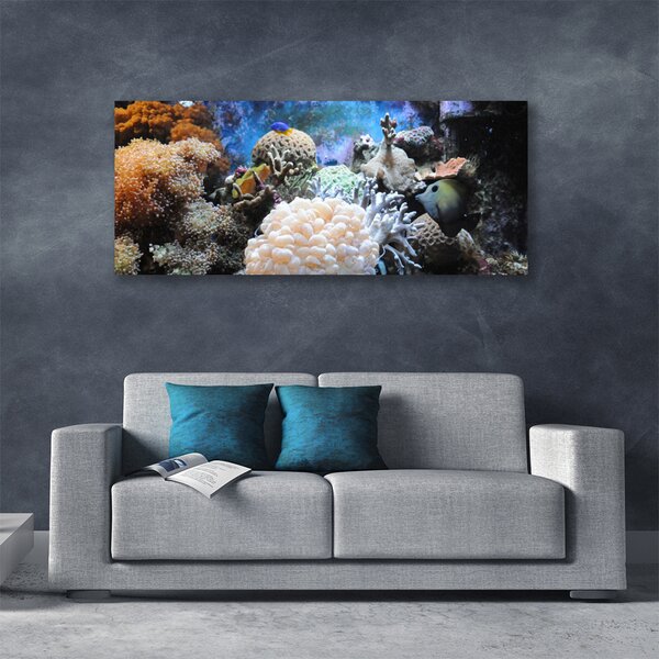 Obraz canvas Bogactwo Oceanicznej Rafy