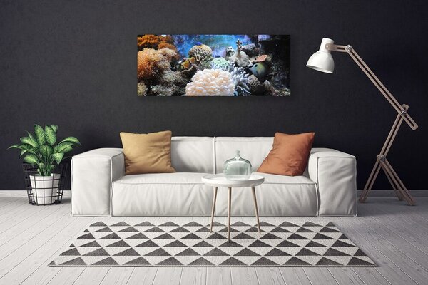 Obraz canvas Bogactwo Oceanicznej Rafy