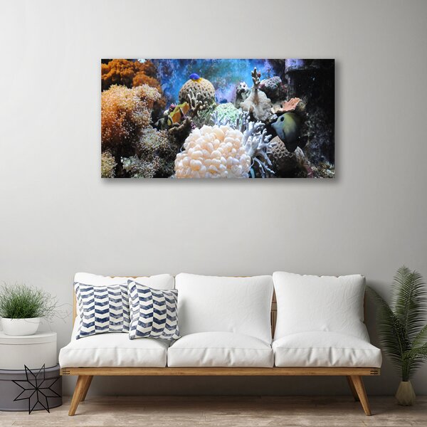 Obraz canvas Bogactwo Oceanicznej Rafy