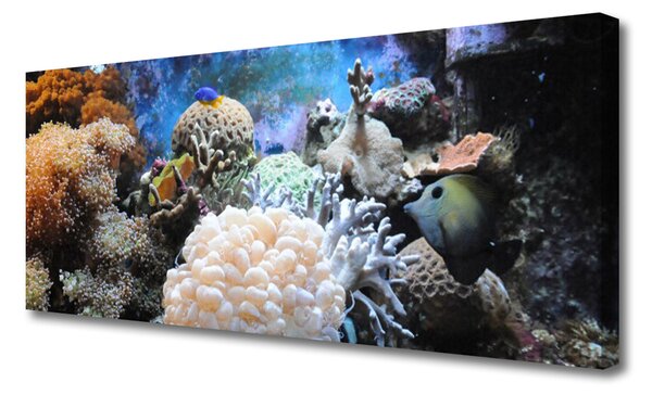 Obraz canvas Bogactwo Oceanicznej Rafy