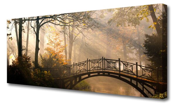 Obraz canvas Drewniany Mostek w Lesie