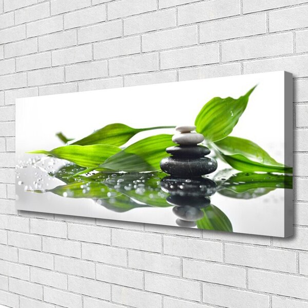 Obraz canvas Duet Kamienia i Liścia