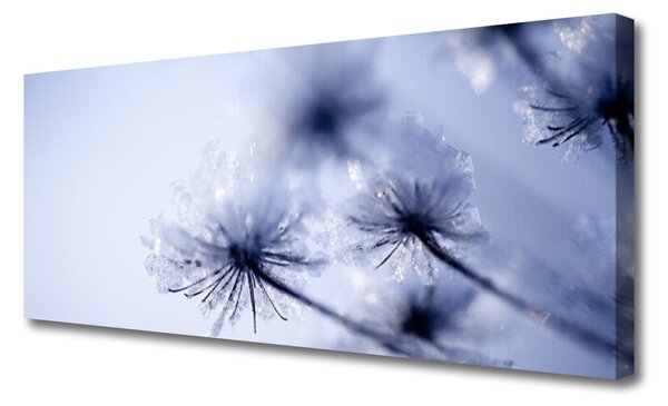 Obraz canvas Ulotny Dmuchawiec na Wietrze