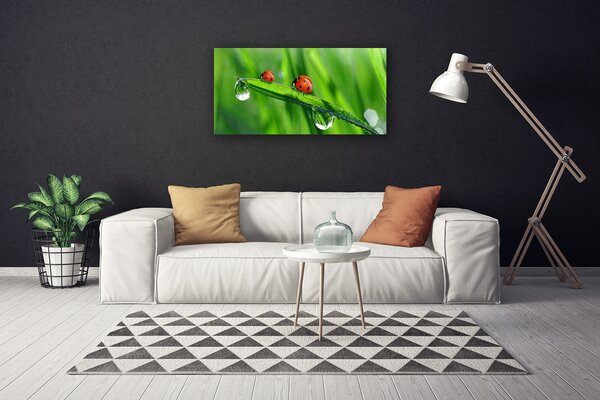 Obraz canvas Biedronka w Porannej Rosie