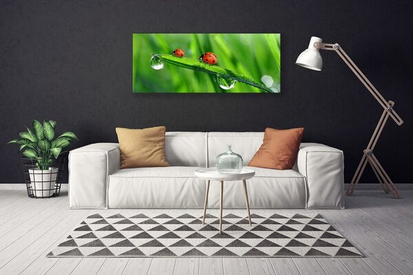Obraz canvas Biedronka w Porannej Rosie