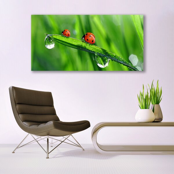 Obraz canvas Biedronka w Porannej Rosie