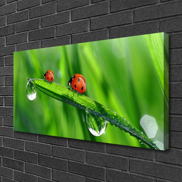 Obraz canvas Biedronka w Porannej Rosie