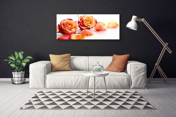 Obraz canvas Aksamitne Róże w Ogrodzie