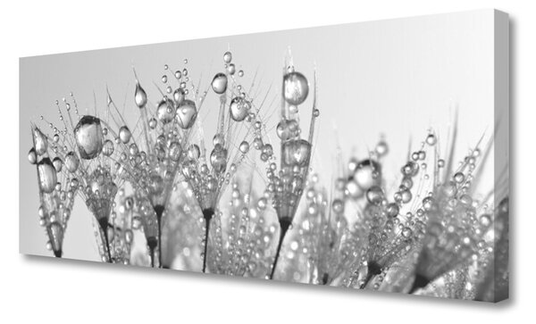 Obraz canvas na ścianę Botaniczna Forma Abstrakcyjna