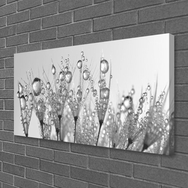 Obraz canvas na ścianę Botaniczna Forma Abstrakcyjna