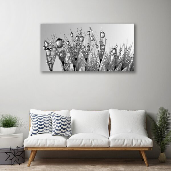 Obraz canvas na ścianę Botaniczna Forma Abstrakcyjna