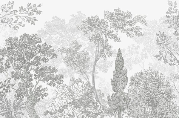 Fototapety Drzewa, Fototapety Natura, w04851v3 : Uwalls.pl