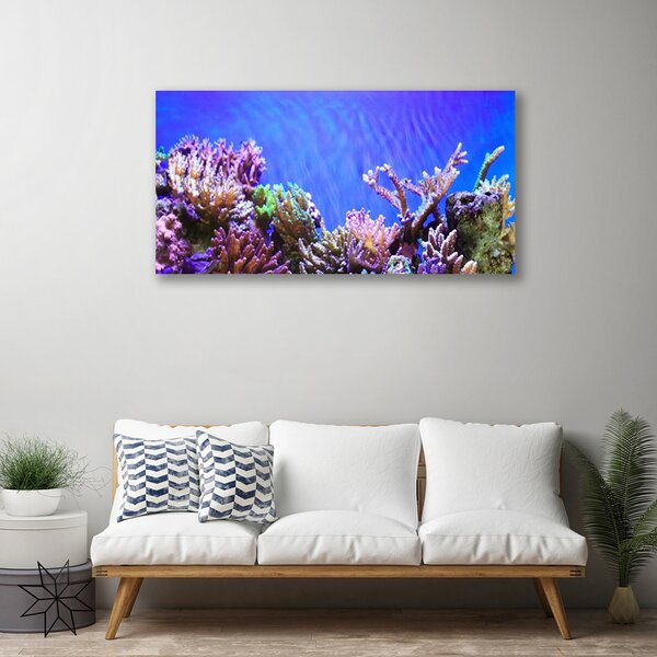 Obraz canvas Podwodny Świat Rafy Koralowej