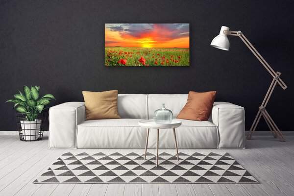 Obraz canvas Maki w Blasku Słońca