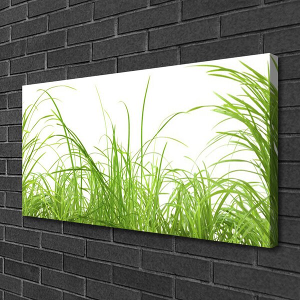 Obraz canvas Świeżość Letniej Trawy