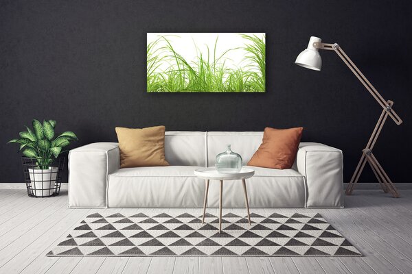 Obraz canvas Świeżość Letniej Trawy