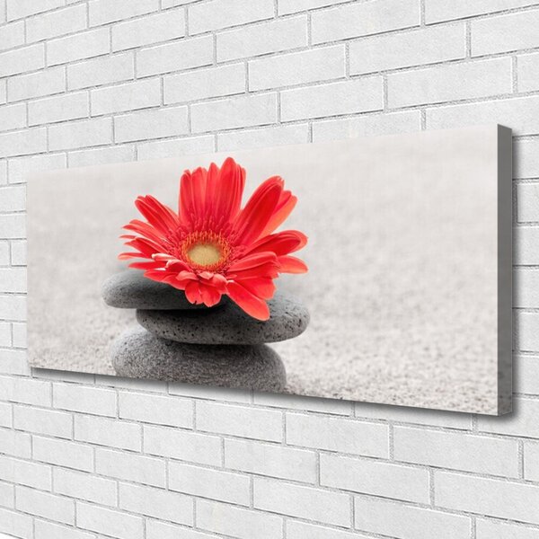 Obraz canvas Radosna Gerbera w Detalu