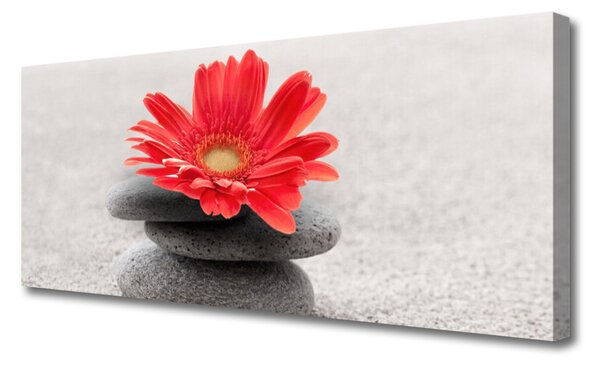 Obraz canvas Radosna Gerbera w Detalu