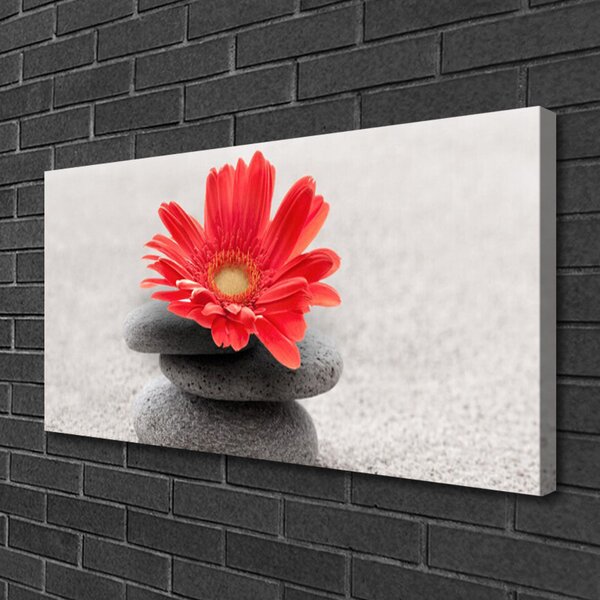 Obraz canvas Radosna Gerbera w Detalu