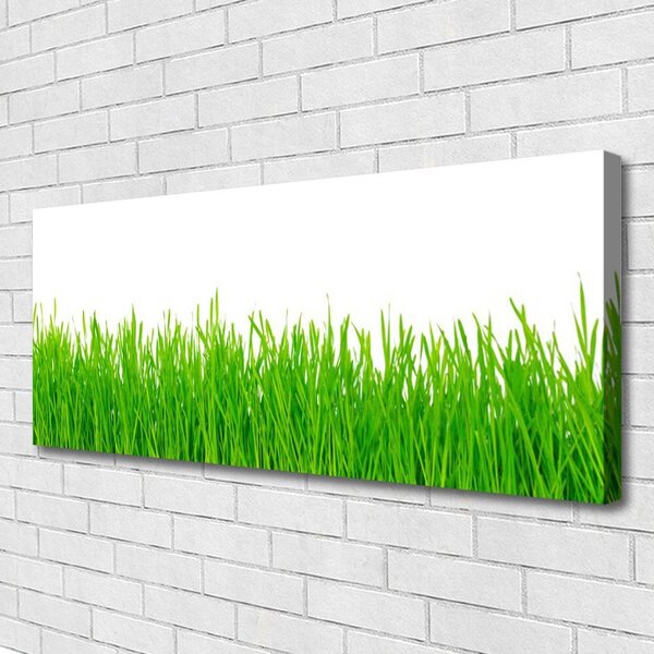 Obraz canvas na ścianę Naturalna Gęstwina Trawy