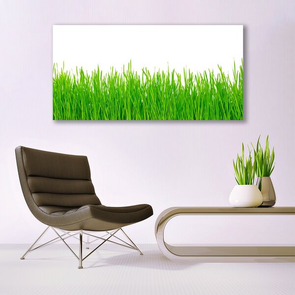 Obraz canvas na ścianę Naturalna Gęstwina Trawy