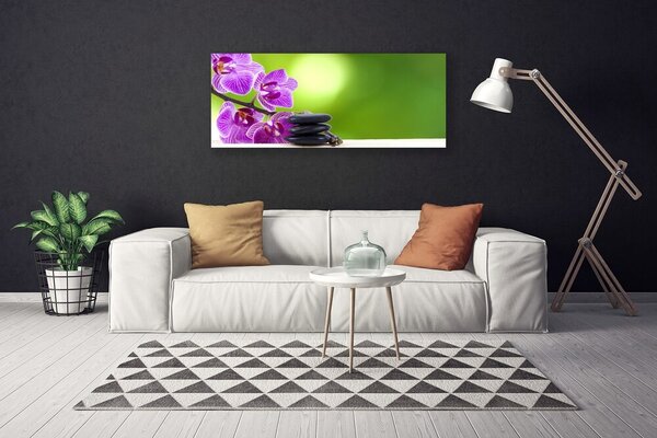 Obraz canvas Zielona Elegancja Storczyka