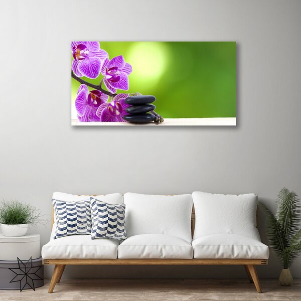 Obraz canvas Zielona Elegancja Storczyka