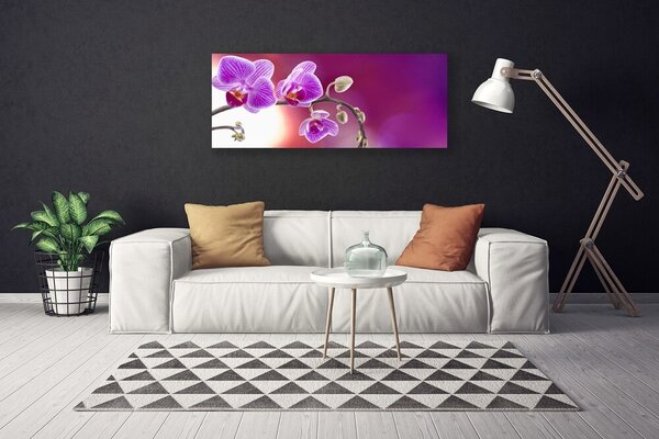Obraz canvas Bukiet Letnich Kwiatów