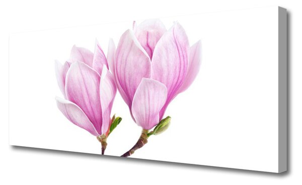 Obraz canvas Botaniczne Piękno Kwiatu