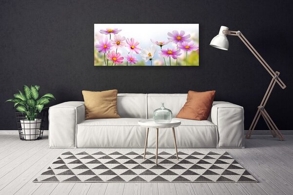 Obraz canvas Wiosenna Łąka na Płótnie