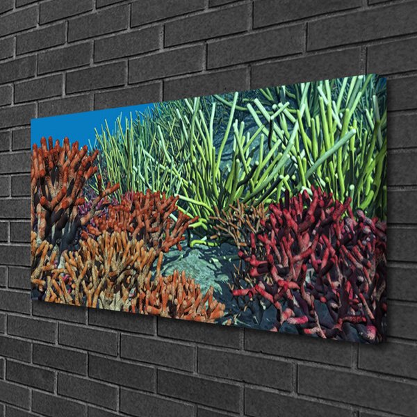 Obraz canvas Podwodne Życie Rafy