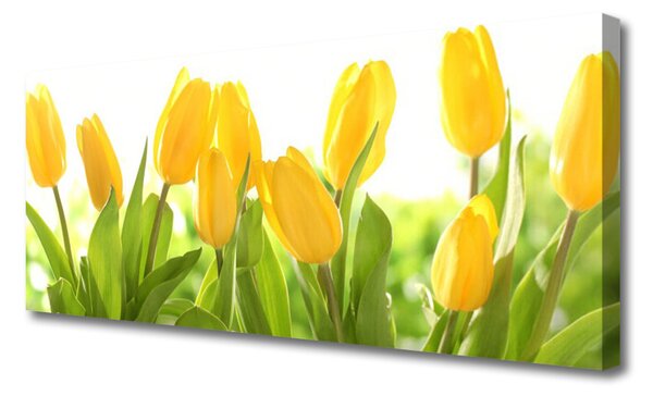 Obraz canvas Elegancja Holenderskich Tulipanów