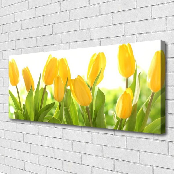 Obraz canvas Elegancja Holenderskich Tulipanów