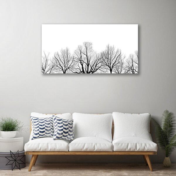 Obraz canvas Majestatyczne Drzewa w Lesie