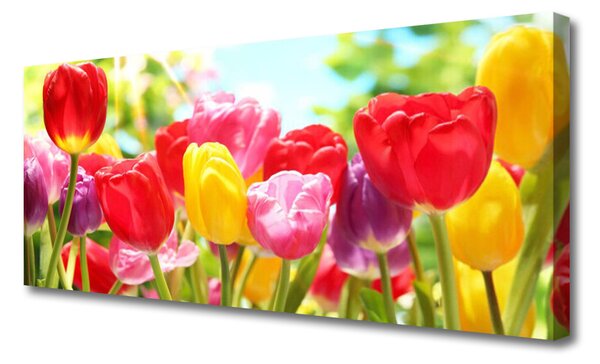 Obraz canvas Klasyczne Czerwone Tulipany