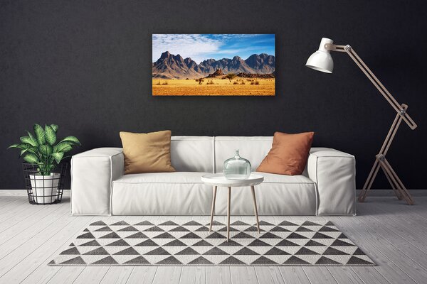 Obraz canvas Surowe Góry na Pustyni