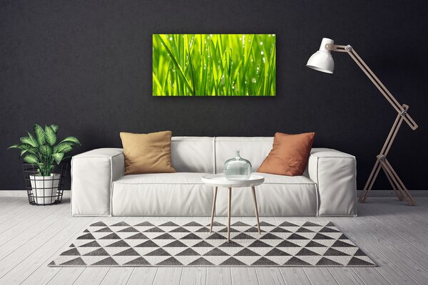 Obraz canvas Naturalny Urok Trawy