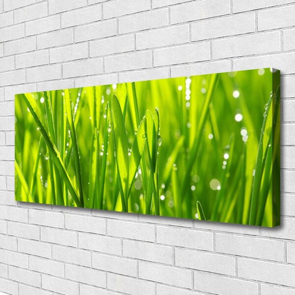 Obraz canvas Naturalny Urok Trawy