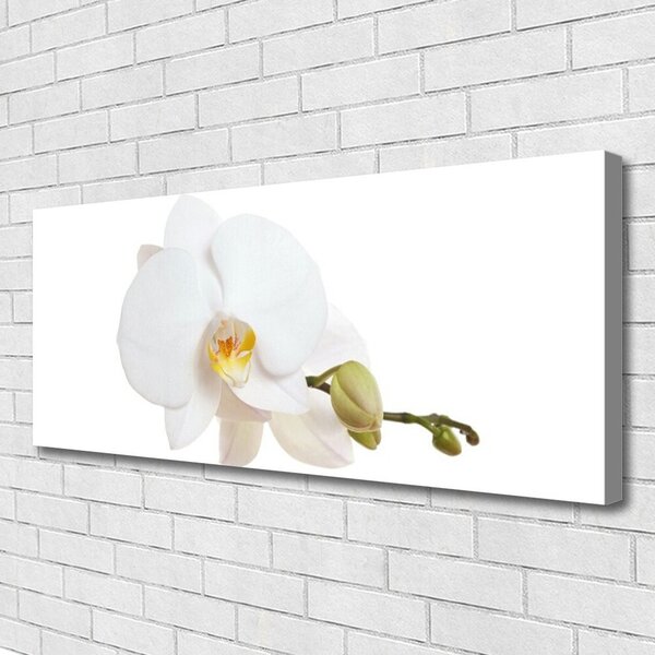 Obraz canvas Subtelny Akcent Botaniczny