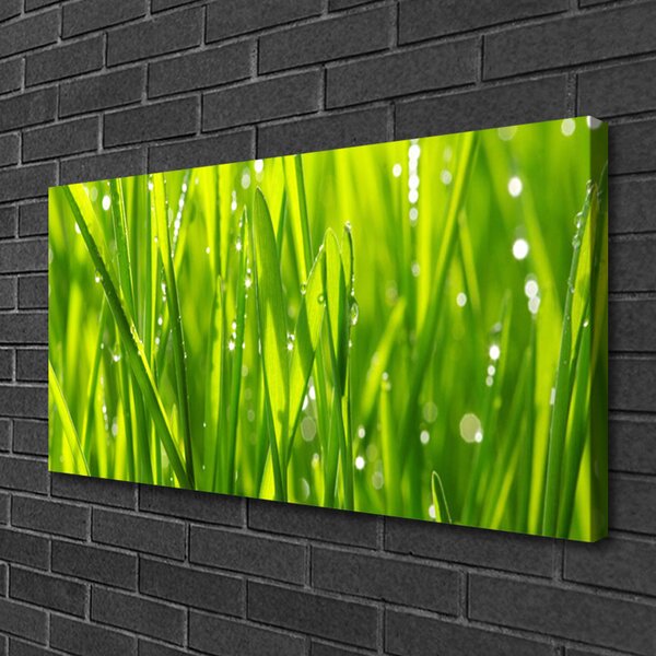 Obraz canvas Naturalny Urok Trawy